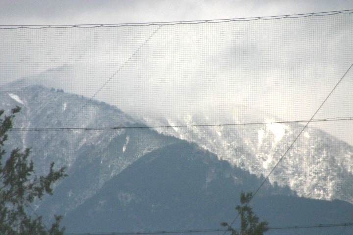 img0262.jpg