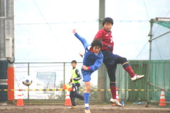 img0015.jpg