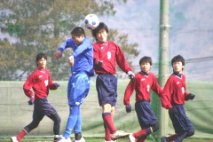 img0135.jpg
