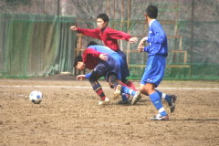 img0203.jpg