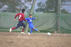 img0242.jpg