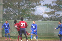 img0247.jpg