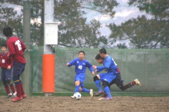 img0291.jpg