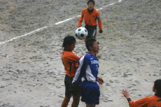 img0029.jpg