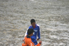 img0031.jpg