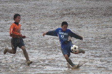 img0115.jpg