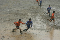 img0123.jpg