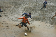 img0124.jpg