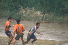 img0131.jpg