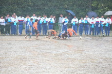 img0151.jpg