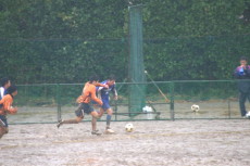 img0153.jpg