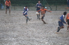img0177.jpg