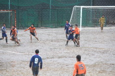 img0184.jpg