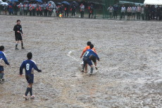 img0190.jpg