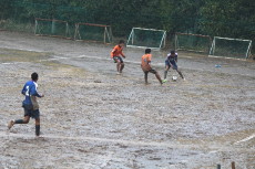 img0201.jpg