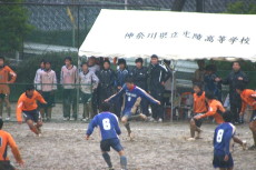 img0206.jpg