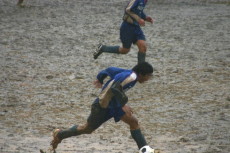 img0209.jpg