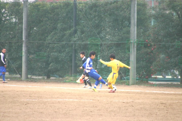 img0017.jpg