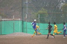 img0029.jpg