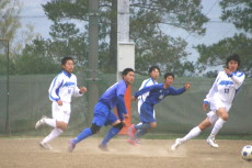 img0041.jpg