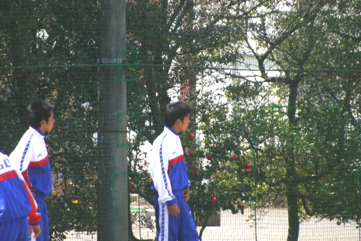 img0126.jpg
