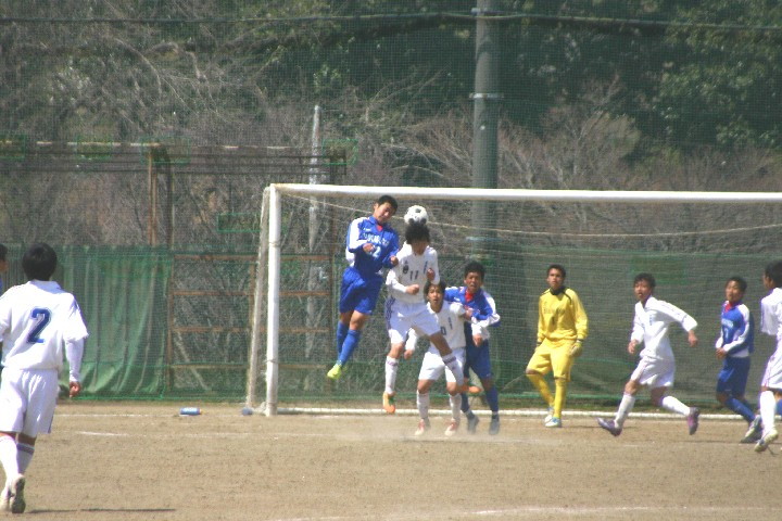 img0135.jpg