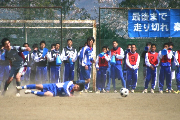 img0061.jpg
