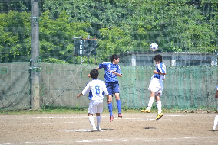 img0088.jpg