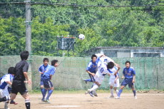 img0074.jpg