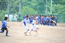 img0137.jpg