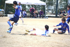 img0153.jpg
