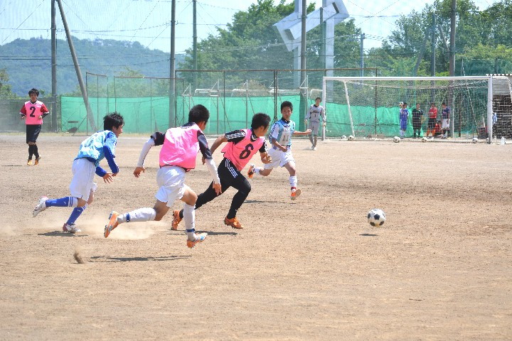 img0019.jpg