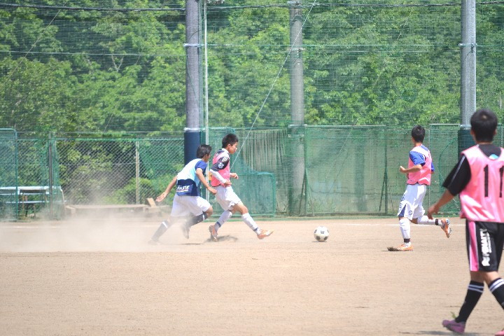 img0049.jpg