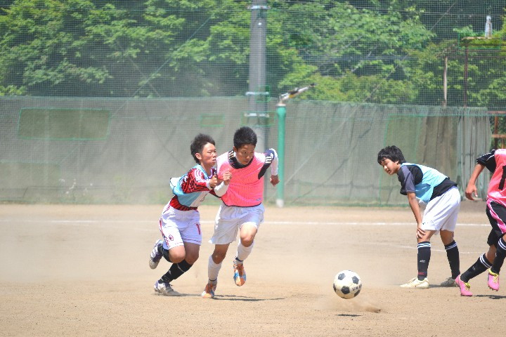img0095.jpg