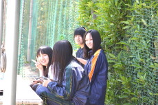 img0000.jpg