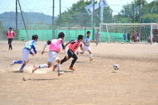 img0019.jpg