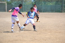 img0036.jpg