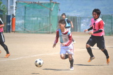 img0085.jpg