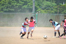 img0095.jpg
