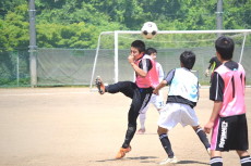 img0003.jpg