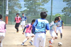 img0031.jpg
