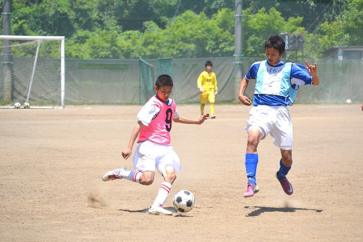 img0053.jpg