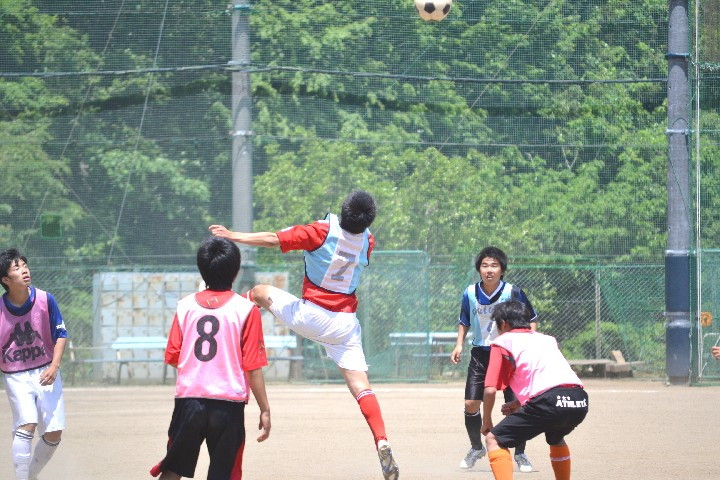 img0086.jpg