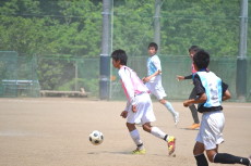 img0004.jpg