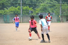 img0048.jpg