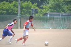 img0074.jpg