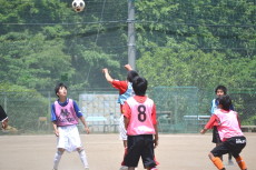 img0085.jpg