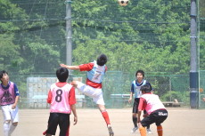 img0086.jpg