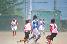 img0096.jpg