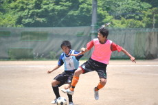 img0117.jpg